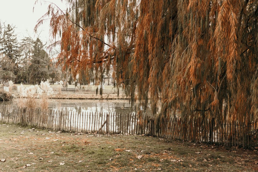 Parc Beaumont Pau