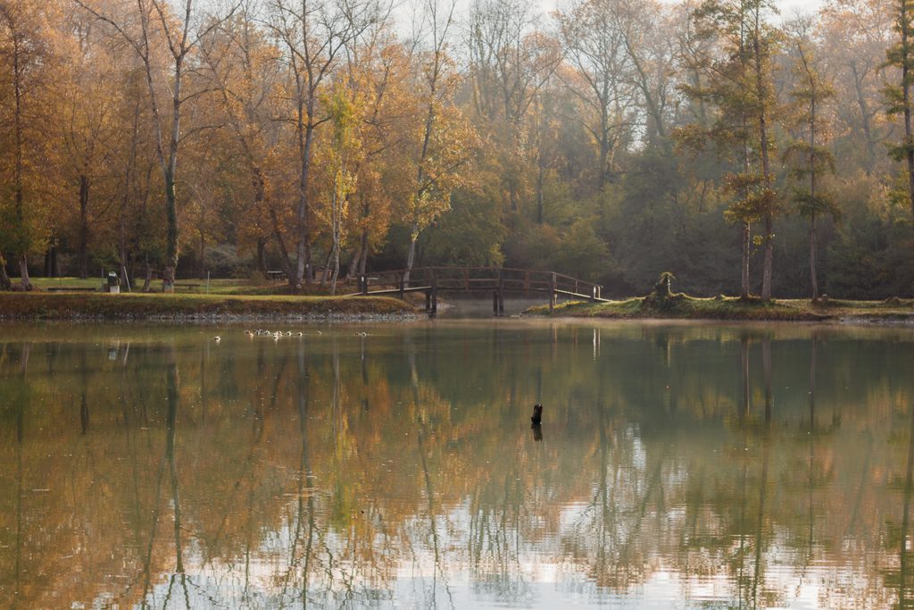 photographe Artix 64