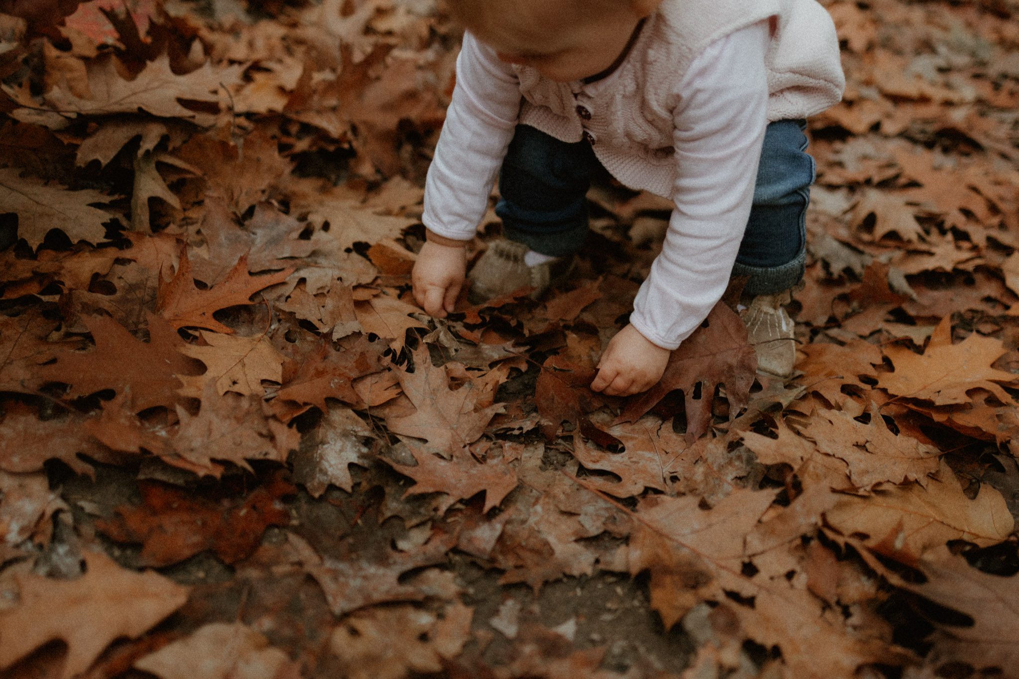 Séance photo d'automne au bois de Pau par Marine Delforge Photographe