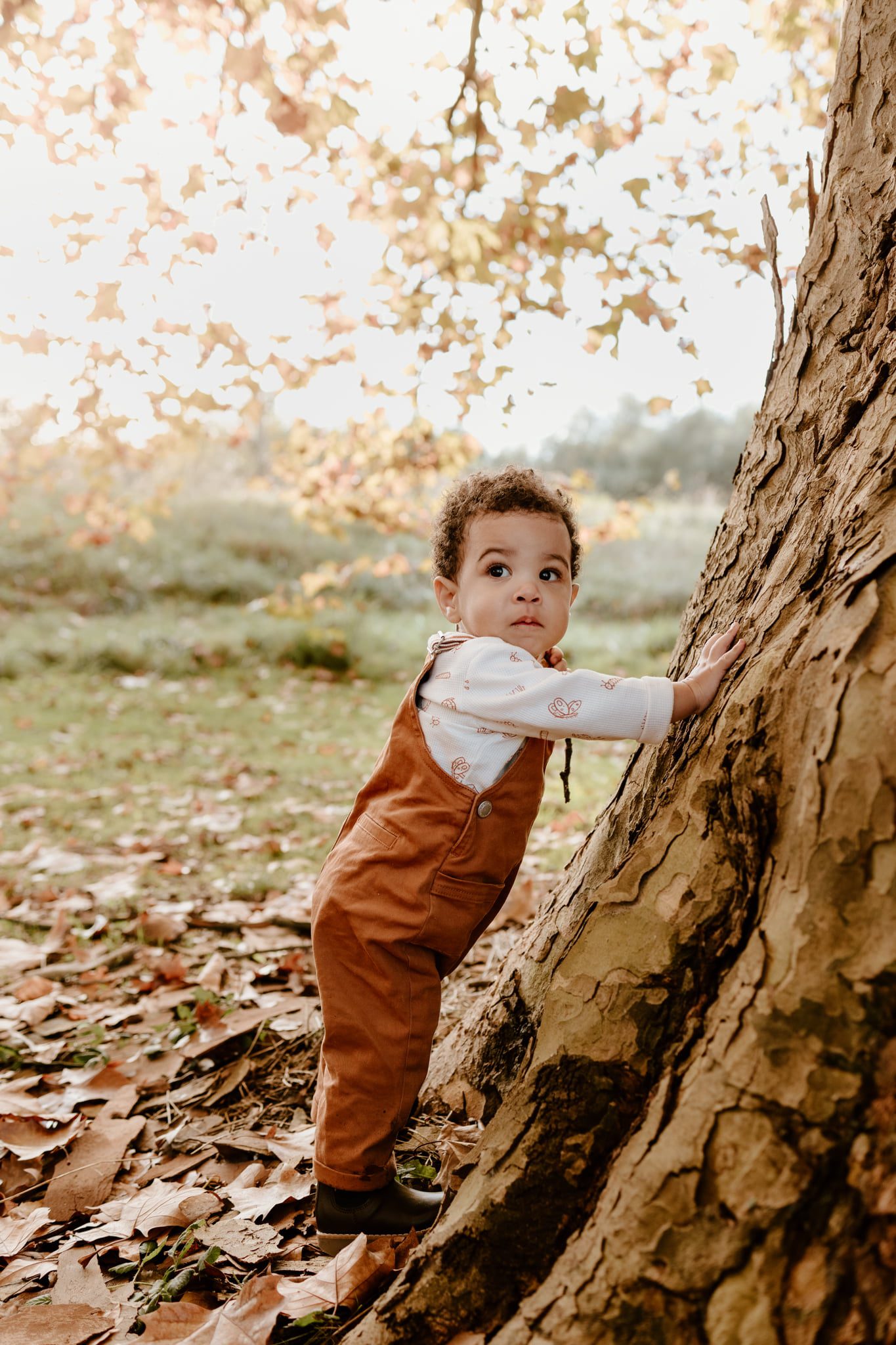 bébé photographié en automne à Pau