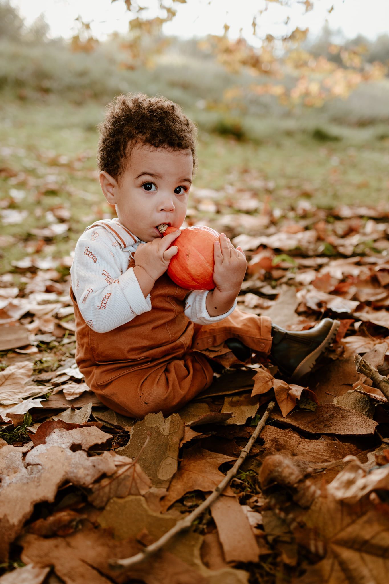 bébé photographié en automne à Pau